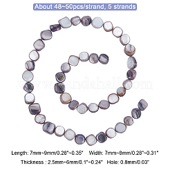 5 Strands Natural Freshwater Shell Beads Strands&nbsp;SHEL-CA0001-012