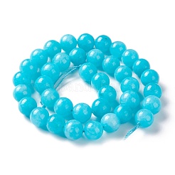 Natural White Jade Imitation Amazonite Beads Strands&nbsp;G-I299-F04-10mm