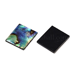 Natural Paua Shell Rectangle Cabochons&nbsp;SSHEL-T017-11