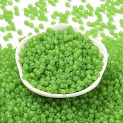 6/0 Imitation Jade Glass Seed Beads&nbsp;SEED-T006-04A-11