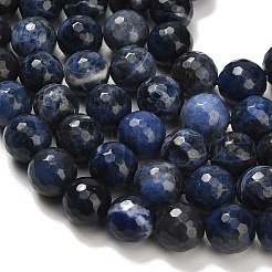 Natural Sodalite Beads Strands&nbsp;G-C280-B02-12mm