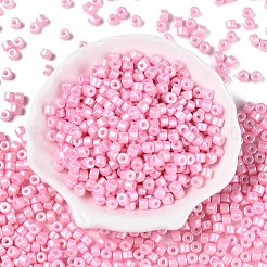 Baking Paint Pearlized Glass Seed Beads&nbsp;SEED-T008-03H