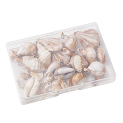 30Pcs 10 Styles Acrylic Pendants&nbsp;PALLOY-JF03989-01