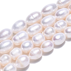 Natural Cultured Freshwater Pearl Beads Strands&nbsp;PEAR-N012-08O