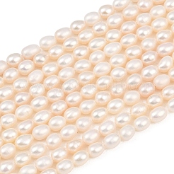 Natural Cultured Freshwater Pearl Beads Strands&nbsp;PEAR-F020-26A