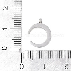 304 Stainless Steel Charms&nbsp;STAS-L022-398P