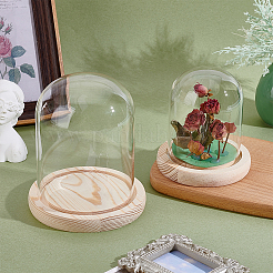 2Pcs 2 Styles Glass Dome Cover&nbsp;AJEW-NB0007-93