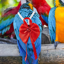 2Pcs 2 Styles Cotton Parrot Clothes&nbsp;AJEW-FH0007-82