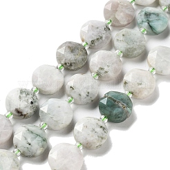 Natural Tree Agate Beads Strands&nbsp;G-NH0004-017