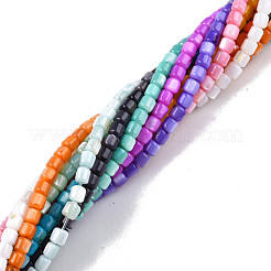 Natural Freshwater Shell Beads Strands&nbsp;SHEL-N003-33