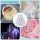 Polyester Fabric&nbsp;FIND-WH0816-061-5