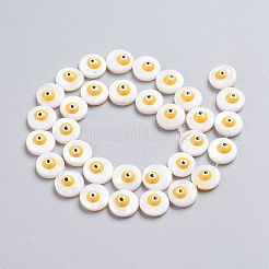 Natural Shell Beads Strands&nbsp;SSHEL-I024-03B-04