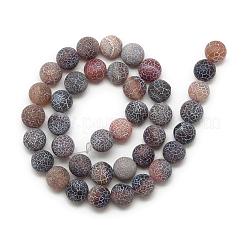 Natural Weathered Agate Bead Strands&nbsp;G-S237-14mm-11