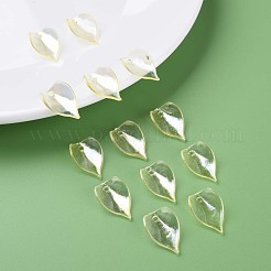 Transparent Acrylic Beads&nbsp;MACR-S373-103-C01