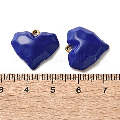 304 Stainless Steel Enamel Pendants&nbsp;STAS-R164-01G
