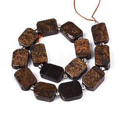 Natural Bronzite Beads Strands&nbsp;G-C098-A39-01