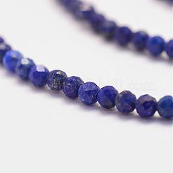 Natural Lapis Lazuli Bead Strands&nbsp;G-P279-53-2mm