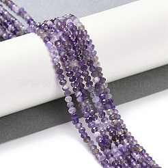 Natural Amethyst Beads Strands&nbsp;G-G139-B09-01