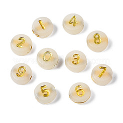 Luminous Acrylic Beads&nbsp;MACR-S273-66