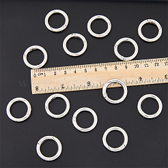30Pcs Zinc Alloy Spring Gate Rings&nbsp;FIND-HY0001-69