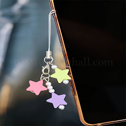 1Pc Resin with Alloy and Nylon Cord Mobile Accessories Decoration&nbsp;HJEW-LP0002-12B