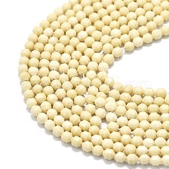 Natural Fossil Beads Strands&nbsp;G-A260-A35-01