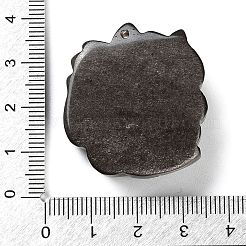 Natural Silver Sheen Obsidian Carved Pendants&nbsp;G-G098-07