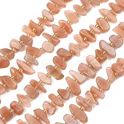 Natural Sunstone Beads Strands&nbsp;G-F821-A04-01