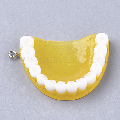 Resin Pendants&nbsp;X-RESI-T028-14
