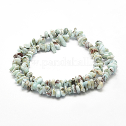 Natural Larimar Beads Strands&nbsp;X-G-P302-03