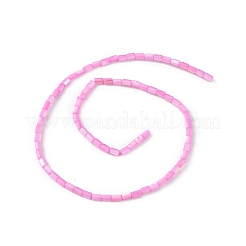Natural Freshwater Shell Dyed Beads Strands&nbsp;SHEL-M018-12-10