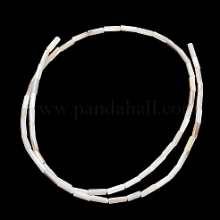 Natural Freshwater Shell Beads Strands&nbsp;SHEL-C010-02A
