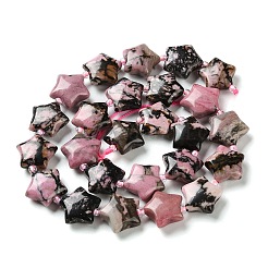 Natural Rhodonite Beads Strands&nbsp;G-NH0005-29