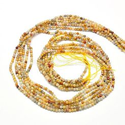 Natural Crazy Lace Agate Beads Strands&nbsp;G-J002-03J