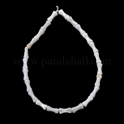 Natural Freshwater Shell Beads Strands&nbsp;SH-CBA2978-13