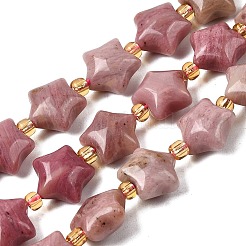 Natural Rhodonite Beads Strands&nbsp;G-Z080-A30-10mm