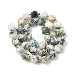 Natural Tree Agate Beads Strands&nbsp;G-U023-A15-01