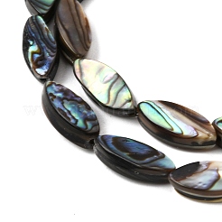 Natural Abalone Shell Paua Shell Beads Strands&nbsp;SH-CBA69D1-01