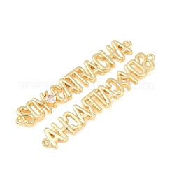 Brass Pave Clear Cubic Zirconia Connector Charm&nbsp;KK-F931-25G