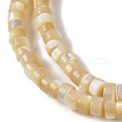 Natural Trochid Shell/Trochus Shell Beads Strands&nbsp;BSHE-H018-02