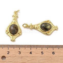 Natural Labradorite Pendants&nbsp;G-C096-03G-01