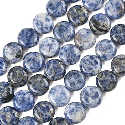 Natural Blue Spot Jasper Beads Strands&nbsp;G-L648-B08-15mm