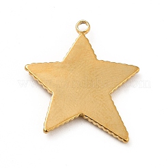 Ion Plating(IP) 304 Stainless Steel Pendants&nbsp;X-STAS-P312-14G