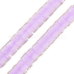 10M Double Layer Polyester Lace Ribbon&nbsp;OCOR-TA0004-14I