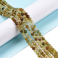 Natural Green Garnet Beads Strands&nbsp;X-G-C009-A25