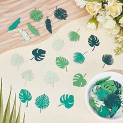 Paper Confetti&nbsp;AJEW-WH0752-129