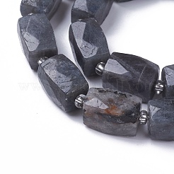 Natural Labradorite Beads Strands&nbsp;G-L499-01