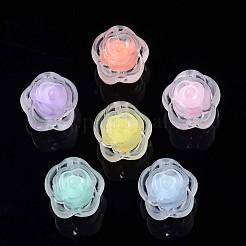Transparent Acrylic Beads&nbsp;TACR-S135-016