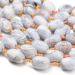 Natural Fire Crackle Agate Beads Strands&nbsp;G-A321-J06-01