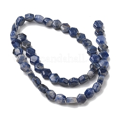 Natural Sodalite Beads Strands&nbsp;G-G463-A10-8x9mm
